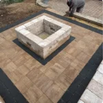 How to Care for Succulents Year-Round