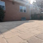 5 Common Houseplant Mistakes to Avoid